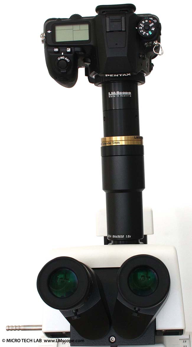 Tête trinoculaire à tube photographique vertical (diamètre extérieur 36 mm)