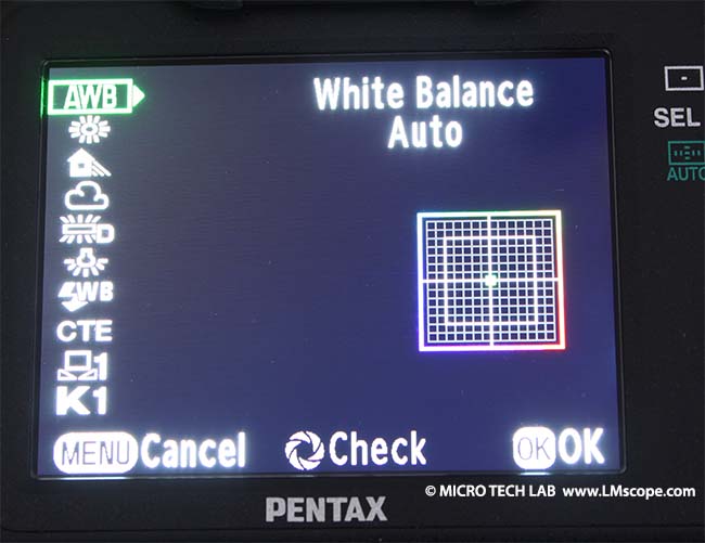 Pentax K-5 IIs white balance