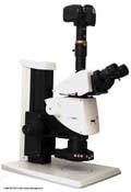 El microscopio estéreo de alta capacidad Leica M205 C 