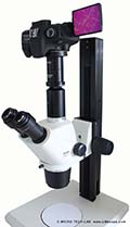 Microscopie et photographie de qualité supérieure  avec le microscope Motic SMZ-171 et nos adaptateurs numériques LM éprouvés (version anglaise)