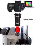 Zeiss Mikroskope der SteREO Discovery Reihe (.V8, .V12,.V20) in Anwendung mit LM digital Adaptern und modernen Kameras
