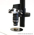 A genuine alternative to stereo microscopes: the Olympus OM-D M5 with the practical LM 40 mm macro close-up lens on the LM macro stand 3