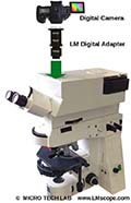 ¡Acondicionar el microscopio universal Zeiss Axioplan con los adaptadores digitales LM para la fotomicrografía!