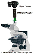 Le groupe de microscopes de recherche Leica DM1000 - DM3000 dans le collimateur de la microphotographie