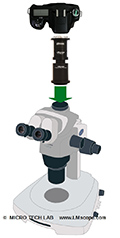 Olympus SZX 10 et SZX 16 – microscopes stéréo avec optique supérieure