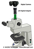 Le Zeiss Axioscope 40 est-il aussi le gnie universel de la microphotographie ?
