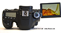 Los adaptadores de microscopio LM – la nueva cámara Canon EOS 80 DSLR de gama media es ideal para su microscopio!