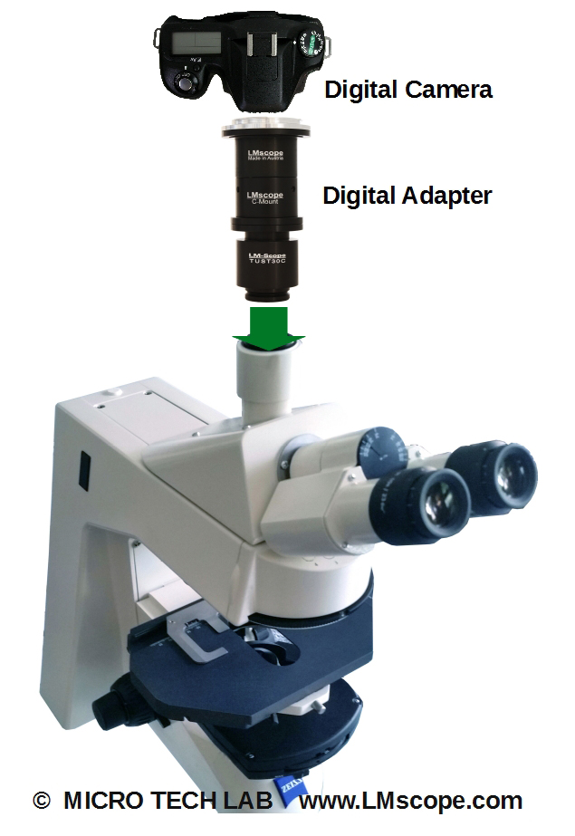 Moderne digitale Mikroskopkameras  am Zeiss Axioskop 2: hervorragende Bilderqualität