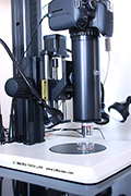 LM Photomikroskop: Anwendungsbeispiel Fotodokumentation von Sand