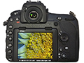 Nikon D850 fullframe-sensor camera for professionals offers enhanced capabilities for microscopy and macroscopy applications.