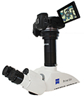 Le Canon EOS R au banc d'essai : un hybride plein format sans miroir convaincant pour la microscopie