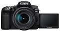 Die neue Canon EOS 90D am Mikroskop: Eine interessante DSLR fr die Mikroskopie