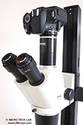 Adaptateur spécial LM pour le raccordement d'un appareil photo numérique aux microscopes de recherche et stéréomicroscopes Motic