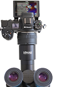 Solución compacta de adaptador especial para conectar cámaras digitales con montura de objetivo intercambiable a los microscopios estereoscópicos y de laboratorio Olympus actuales.