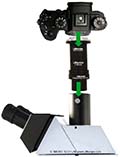 Leitz / Leica DMRB Forschungsmikroskop mit modernen Digitalkameras aufrüsten