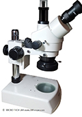 Optika SZM Zoom Stereomikroskope: Ausbildungsmikroksope für die digitale Mikrofotografie upgraden