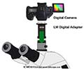 Bresser Einsteigermikroskop Science TFM-301 mit digitalen C-Mount-Kameras, Spiegelreflexkameras und spiegellosen Systemkameras