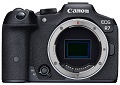 Canon EOS R7 am Mikroskop: der ersten Canon R Kamera mit APS-C Bajonett auf den Sensor geschaut