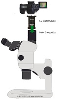 Das Motic SM7-Stereomikroskop für die digitale Mikrofotografie nutzen