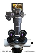 Ältere Zeiss-Mikroskope (Standard oder Phomi) mit Hilfe von LM Mikroskopadaptern mit modernen Digitalkameras ausstatten