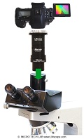 Appareils photo numériques modernes sur le Leitz Orthoplan : créer des photos de haute qualité au moyen de l'adaptateur de microscope LM avec optique de précision intégrée
