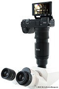 Zeiss Axiolab 5: höhere Bildqualität und Videoqualität mit Hilfe der besten Digitalkameras