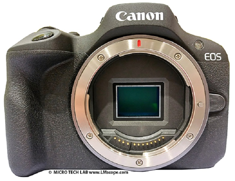 Prueba de Canon EOS R100 con solución adaptadora LM en el microscopio: cámara de sistema sin espejo económica con 24MP