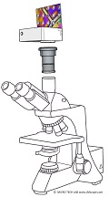 Add state-of-the-art digital cameras to the Motic BA410E laboratory microscope