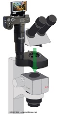 Equip Leica M series stereo microscopes with modern camera systems: use high-quality cameras with the help of our LM adapter solutions