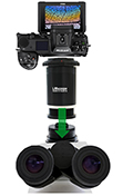 Newsletter Archiv: September 2025 / Die aktuellen Premium-Systemkameras Z7 II, Z8, Z9 von Nikon am Mikroskop
