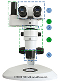 Stereomikroskop Euromex DZ 1600 mit CMO-Design, 1:6,3- Zoom mit modernen Digitalkameras ausr�sten