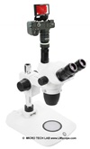 Digitale Mikrofotografie am Euromex NexiusZoom EVO Stereomikroskop: Steigerung der Bildqualit�t mit den modernsten Digitalkameras