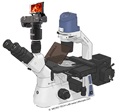 Euromex Oxion Inverso: Top Bildqualit�t am Mikroskop mit modernsten Digitalkameras erzielen