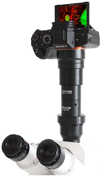 Sony Alpha 7 III am Mikroskop montiert Mikroskopadapter / Aufsatz