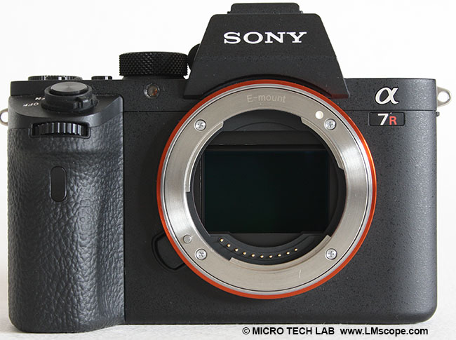 Sony Alpha 7R III en microscopio