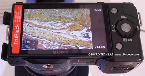 Sony NEX for microscopy use magnification function