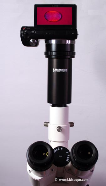 Sony NEX-5 con LM adapter y microscopio