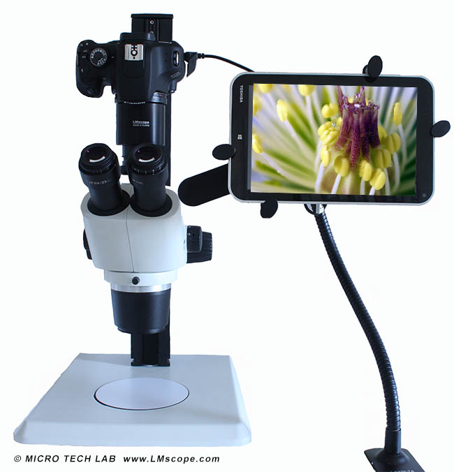 Tablet am Mikroskop fr Mikrofotografie
