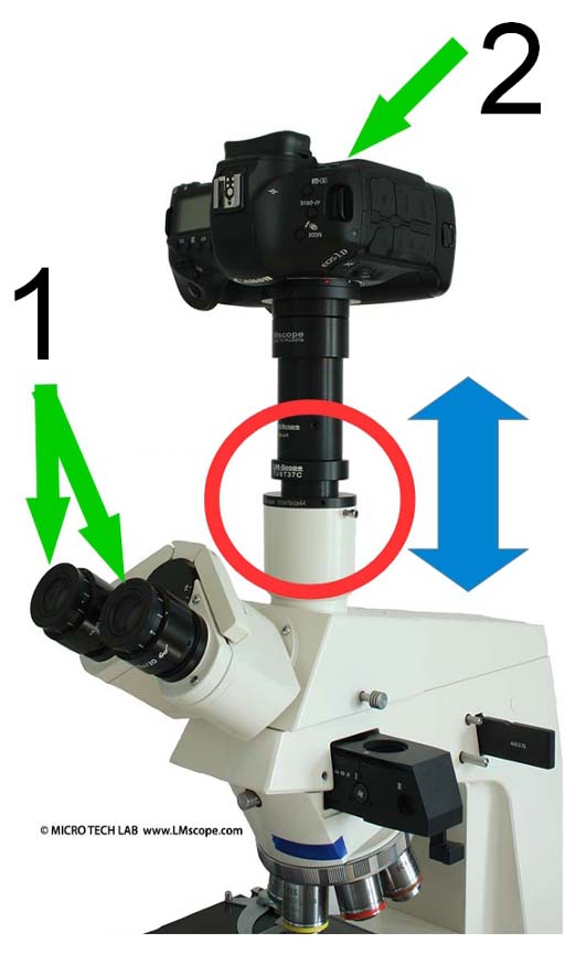Parfokalität einstellen Mikroskopie
