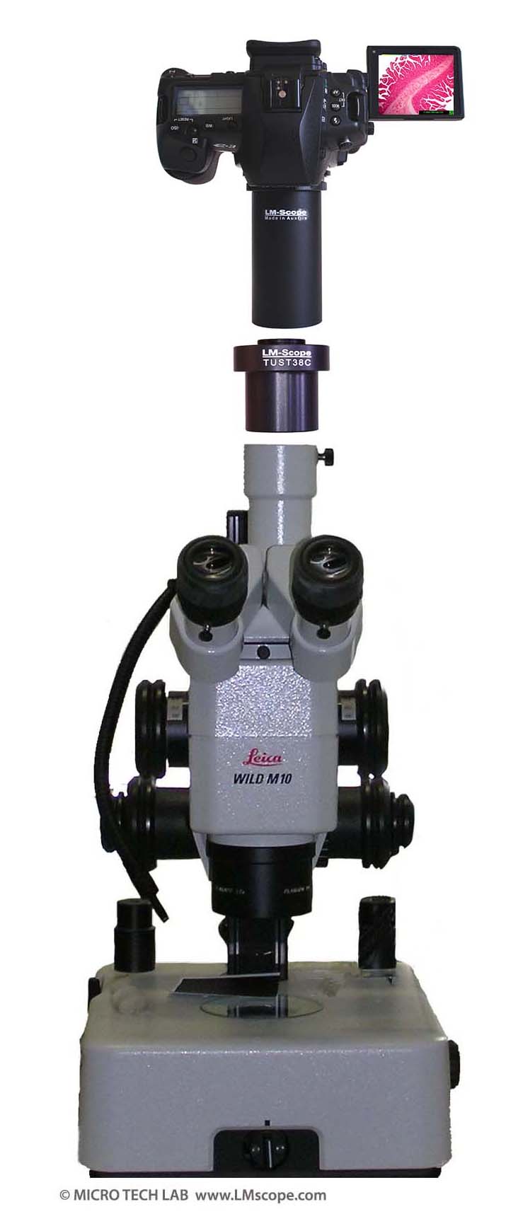 Montage einer Kamera auf Leica WILD M10 Mikroskop mithilfe LM digital Adaptern