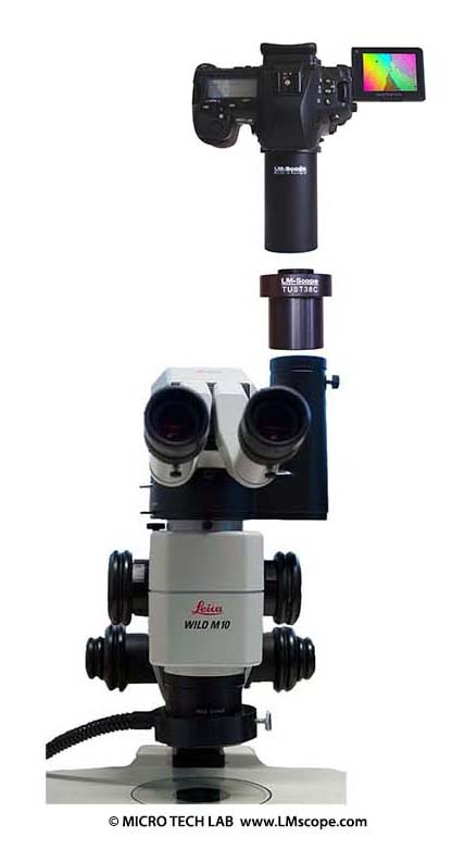 Leica Wild M10 Mikroskop Seitentubus Anbindung Kamera mithilfe von Adaptern