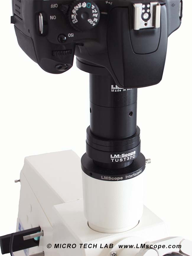 Trinokularer Tubus mit Mikroskopkamera Zeiss Axioskop Labormikroskop