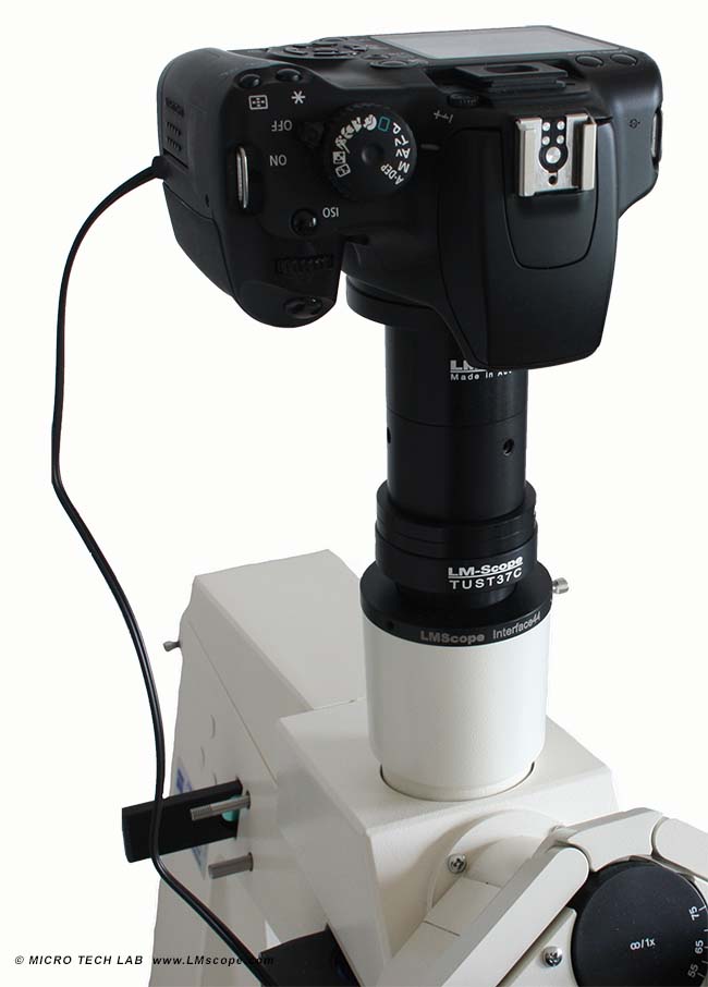 Zeiss microscope with adapter solution 44mm inner diameter