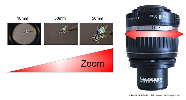 nature photography lens zoom